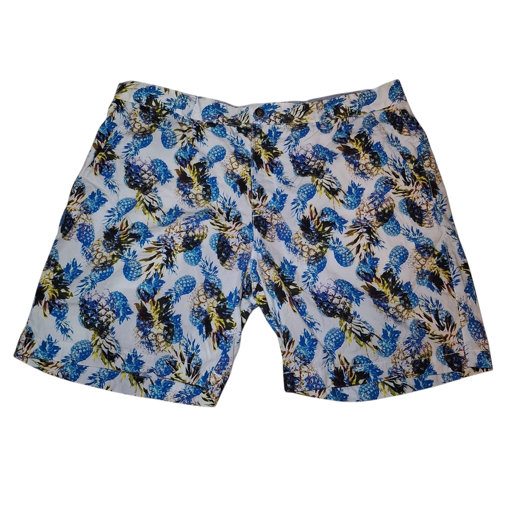 Blue Pineapple Print Men's Swim Shorts